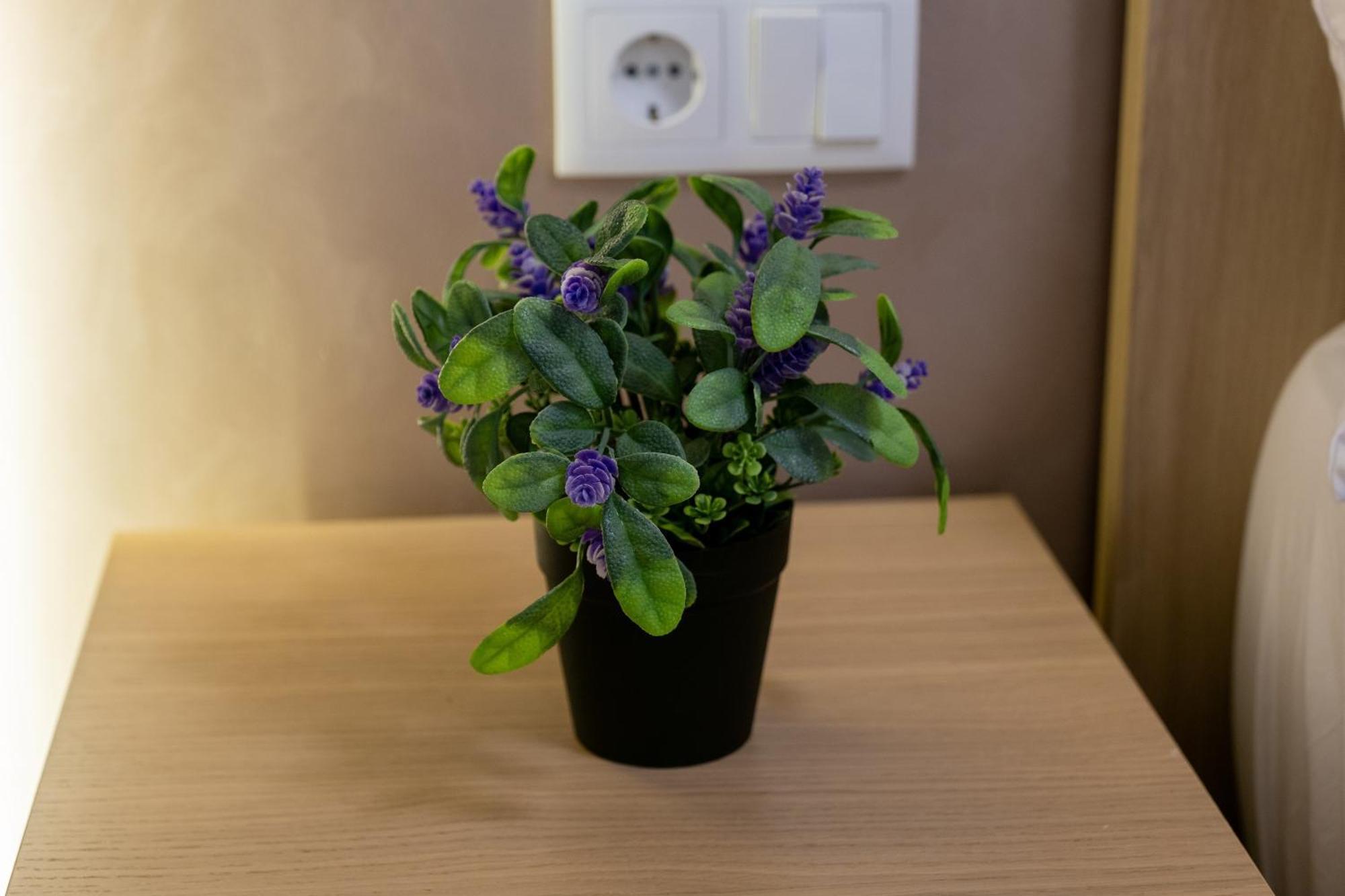 Apartamento Turistico Lux Center Valence Extérieur photo