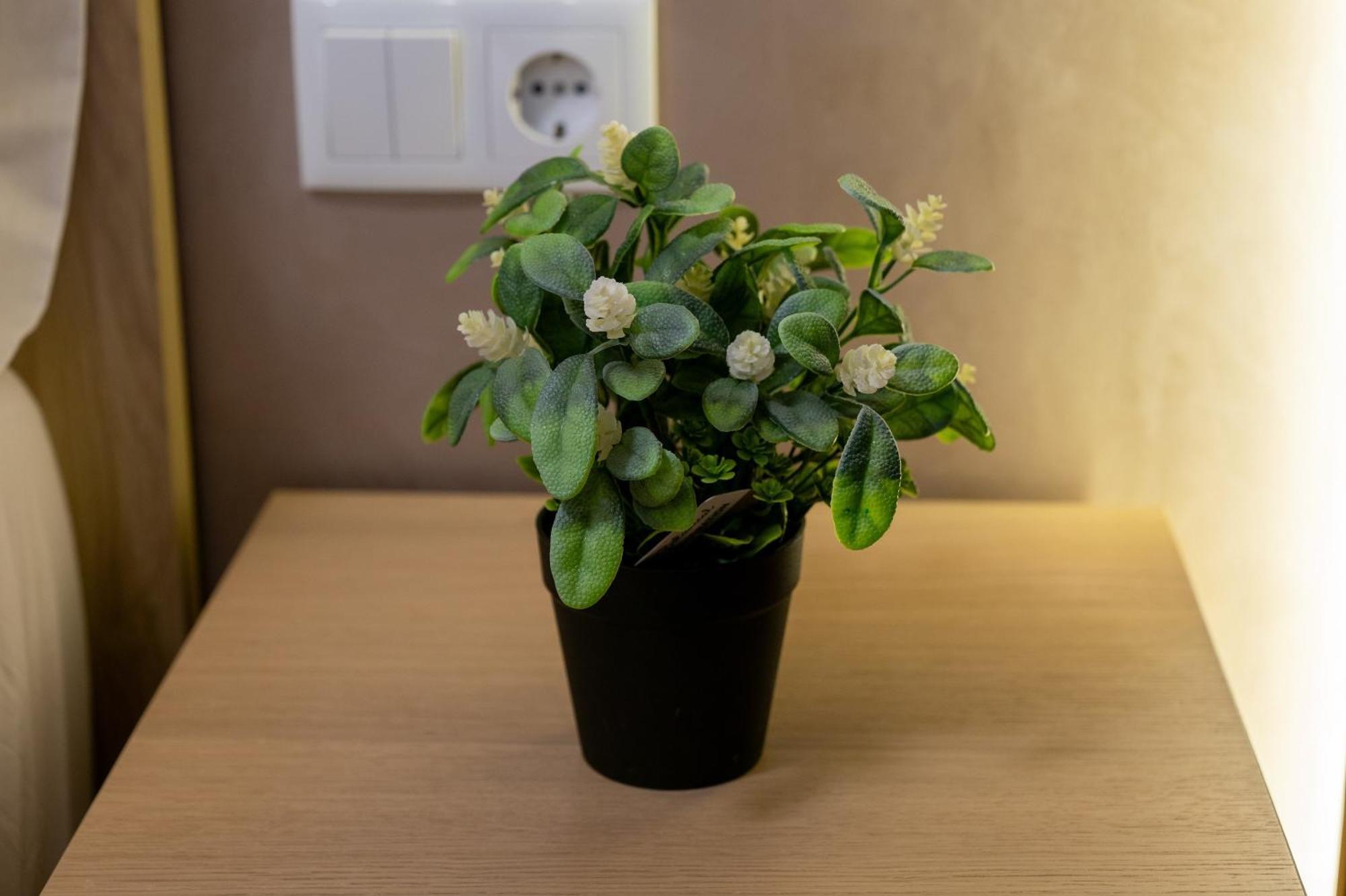 Apartamento Turistico Lux Center Valence Extérieur photo